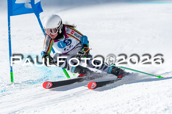 NC RS ,Frauen + Männer Axamer Lizum 28.03.2026