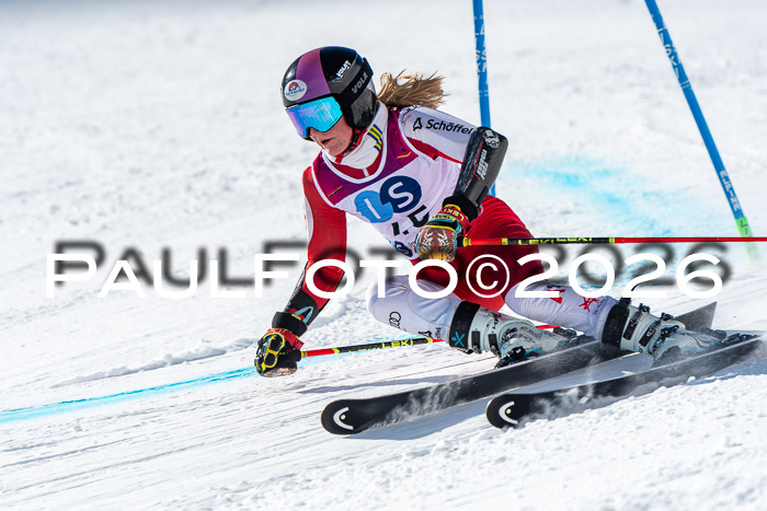 NC RS ,Frauen + Männer Axamer Lizum 28.03.2026