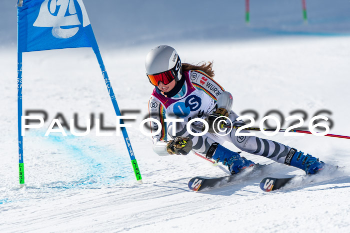 NC RS ,Frauen + Männer Axamer Lizum 28.03.2026