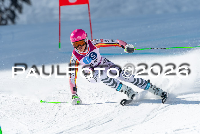 NC RS ,Frauen + Männer Axamer Lizum 28.03.2026