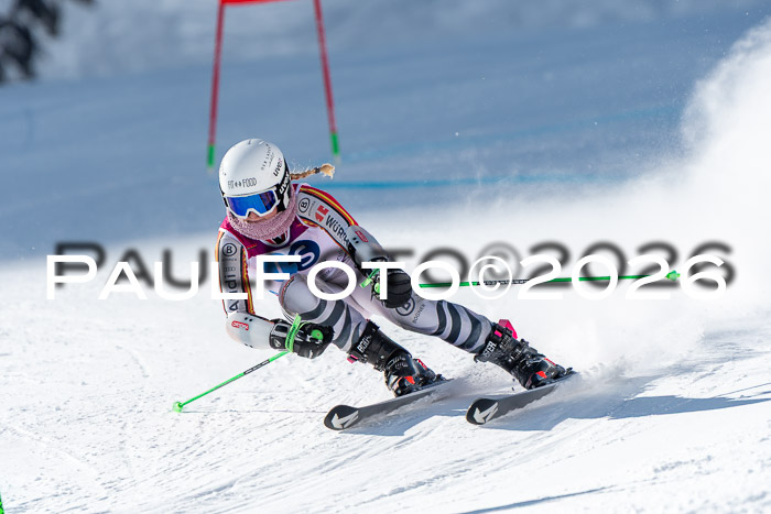 NC RS ,Frauen + Männer Axamer Lizum 28.03.2026