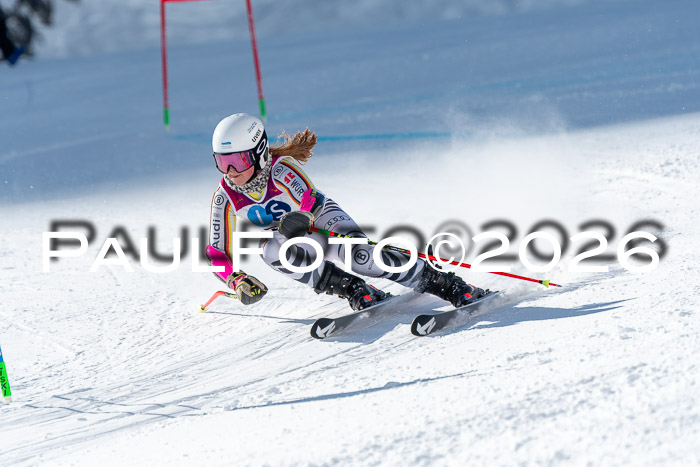 NC RS ,Frauen + Männer Axamer Lizum 28.03.2026