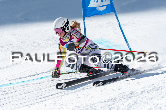 NC RS ,Frauen + Männer Axamer Lizum 28.03.2026