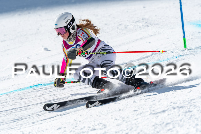 NC RS ,Frauen + Männer Axamer Lizum 28.03.2026