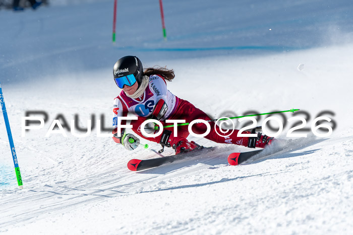 NC RS ,Frauen + Männer Axamer Lizum 28.03.2026