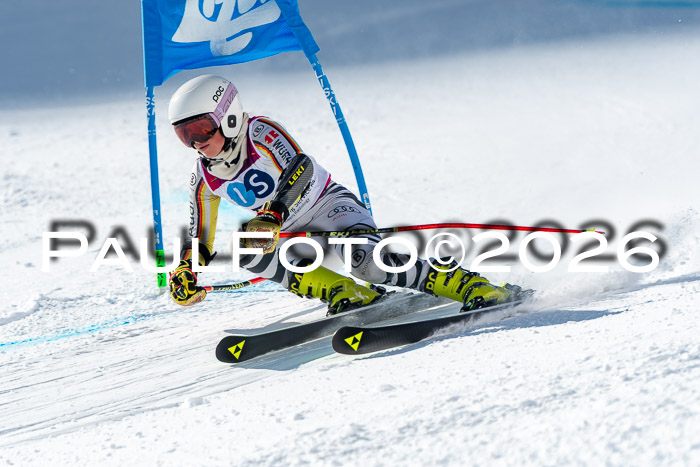 NC RS ,Frauen + Männer Axamer Lizum 28.03.2026