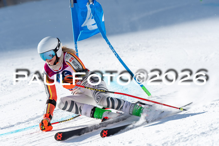 NC RS ,Frauen + Männer Axamer Lizum 28.03.2026