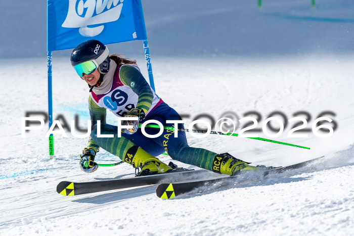 NC RS ,Frauen + Männer Axamer Lizum 28.03.2026