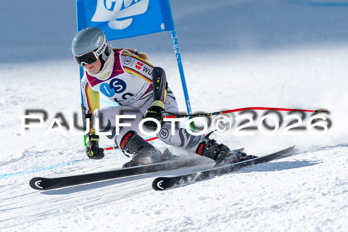 NC RS ,Frauen + Männer Axamer Lizum 28.03.2026