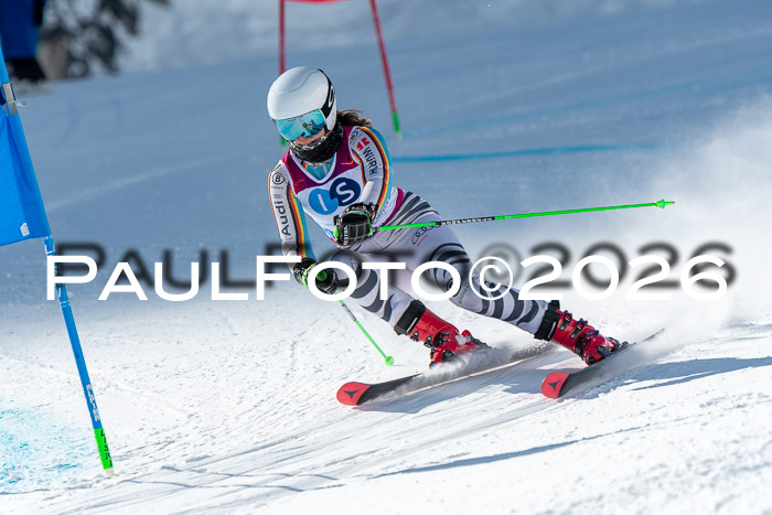 NC RS ,Frauen + Männer Axamer Lizum 28.03.2026