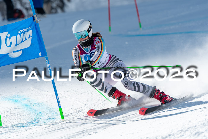 NC RS ,Frauen + Männer Axamer Lizum 28.03.2026