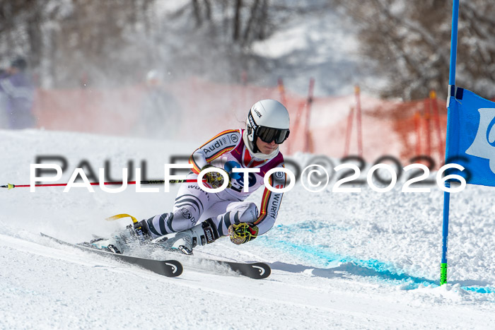 NC RS ,Frauen + Männer Axamer Lizum 28.03.2026