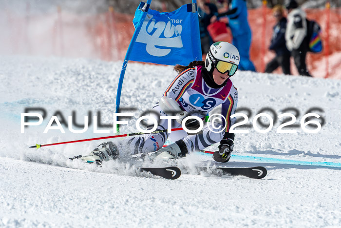 NC RS ,Frauen + Männer Axamer Lizum 28.03.2026