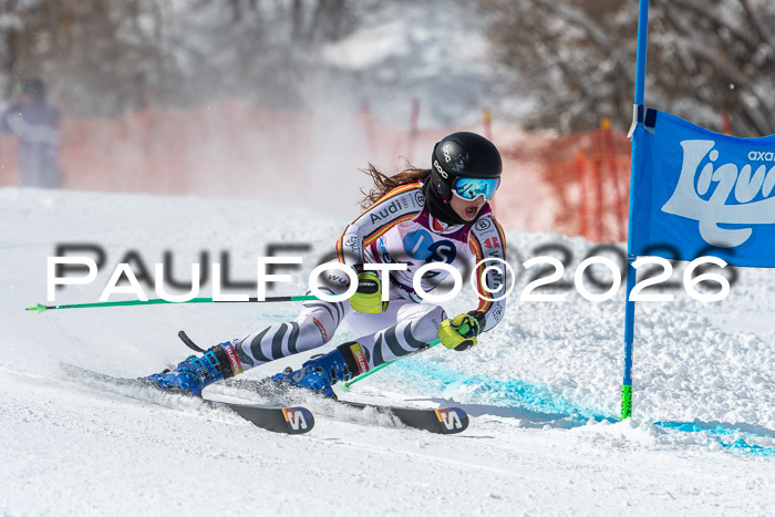 NC RS ,Frauen + Männer Axamer Lizum 28.03.2026