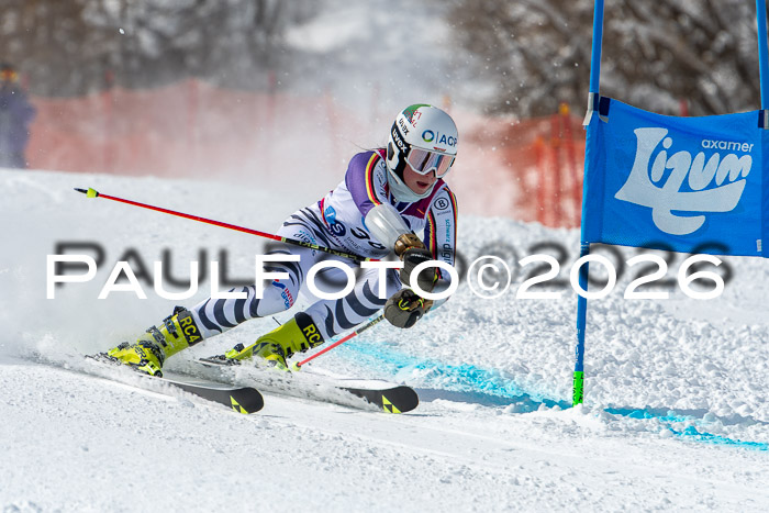 NC RS ,Frauen + Männer Axamer Lizum 28.03.2026