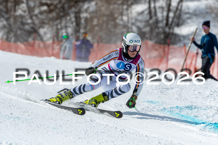 NC RS ,Frauen + Männer Axamer Lizum 28.03.2026