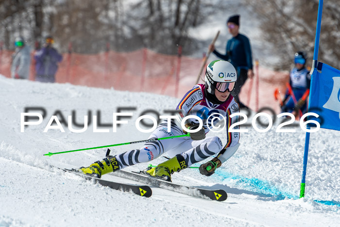 NC RS ,Frauen + Männer Axamer Lizum 28.03.2026