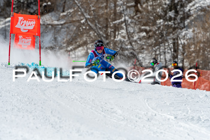 NC RS ,Frauen + Männer Axamer Lizum 28.03.2026