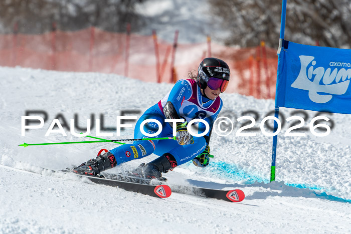 NC RS ,Frauen + Männer Axamer Lizum 28.03.2026