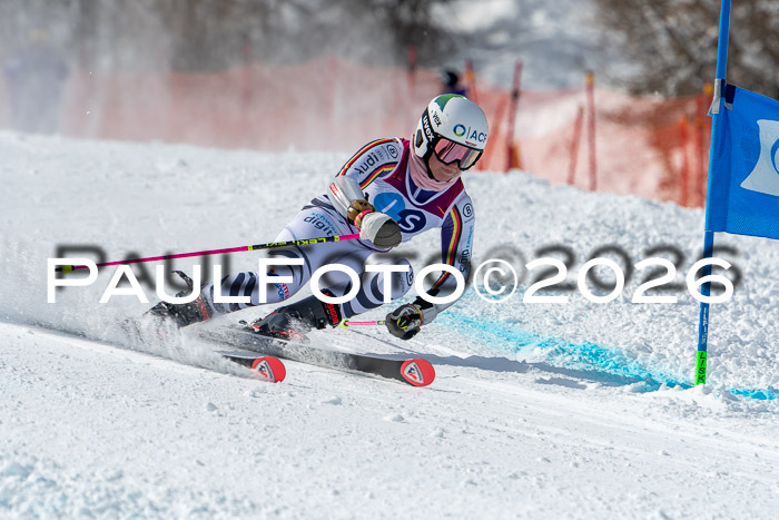 NC RS ,Frauen + Männer Axamer Lizum 28.03.2026