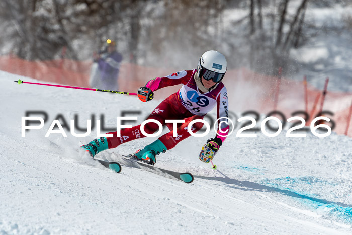 NC RS ,Frauen + Männer Axamer Lizum 28.03.2026