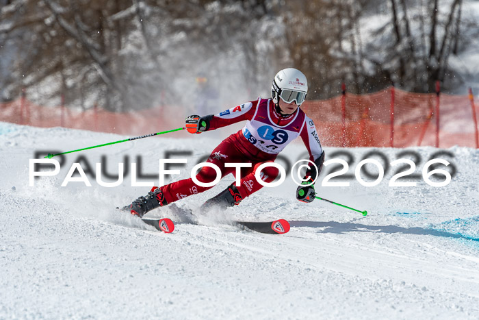 NC RS ,Frauen + Männer Axamer Lizum 28.03.2026