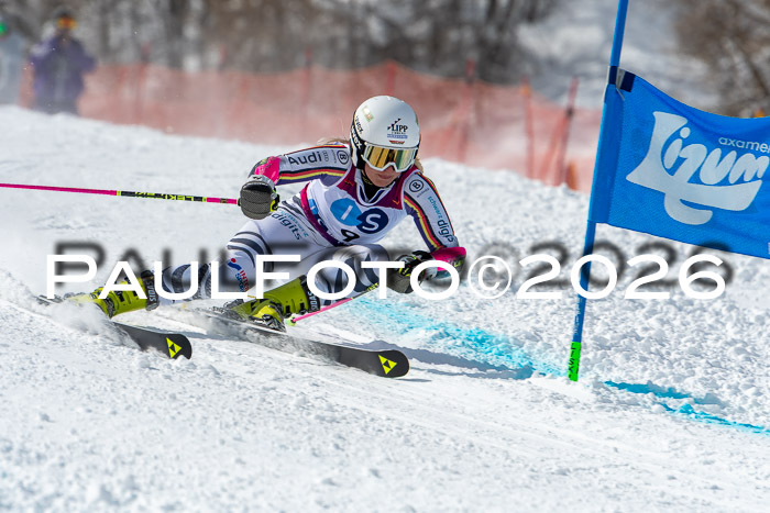 NC RS ,Frauen + Männer Axamer Lizum 28.03.2026