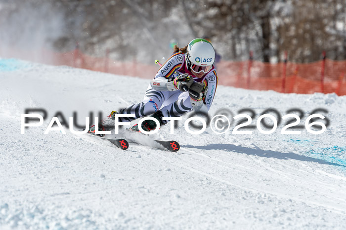 NC RS ,Frauen + Männer Axamer Lizum 28.03.2026