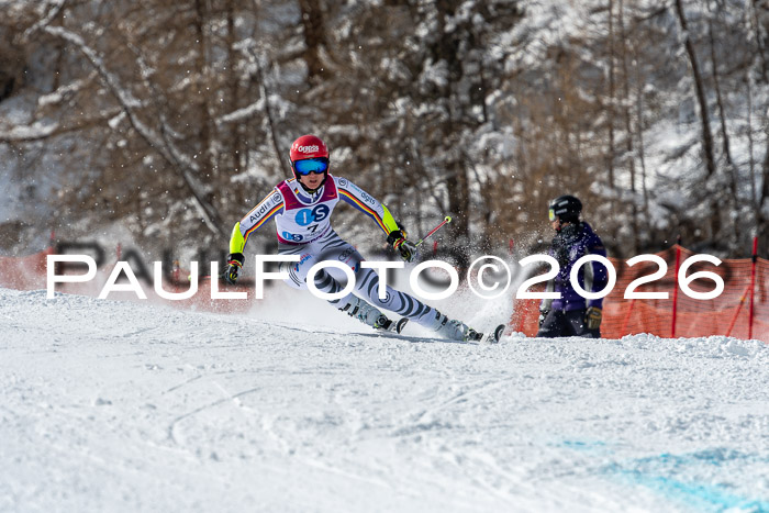 NC RS ,Frauen + Männer Axamer Lizum 28.03.2026