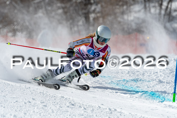 NC RS ,Frauen + Männer Axamer Lizum 28.03.2026