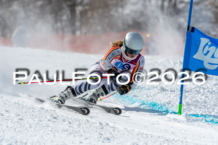 NC RS ,Frauen + Männer Axamer Lizum 28.03.2026