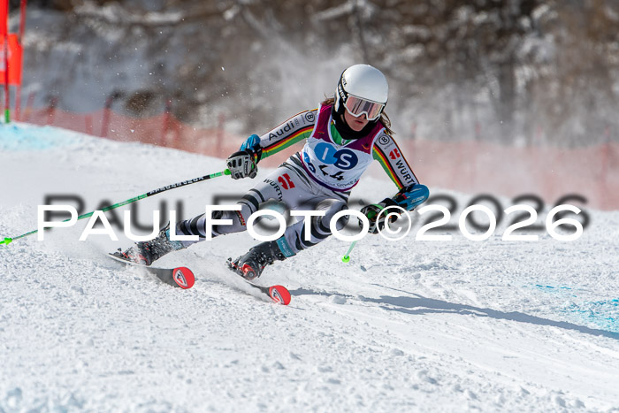 NC RS ,Frauen + Männer Axamer Lizum 28.03.2026