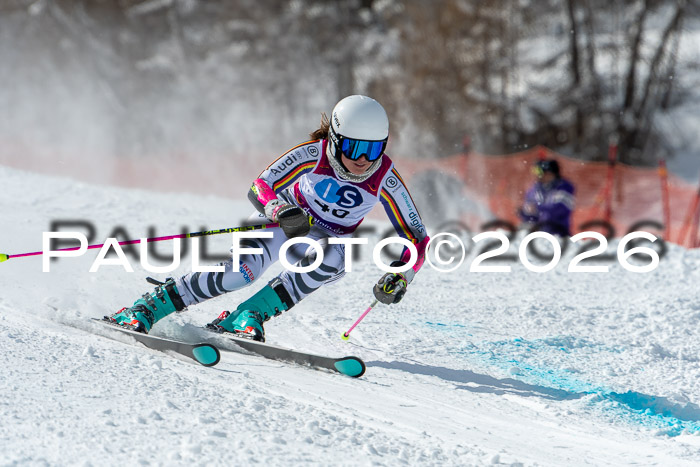 NC RS ,Frauen + Männer Axamer Lizum 28.03.2026