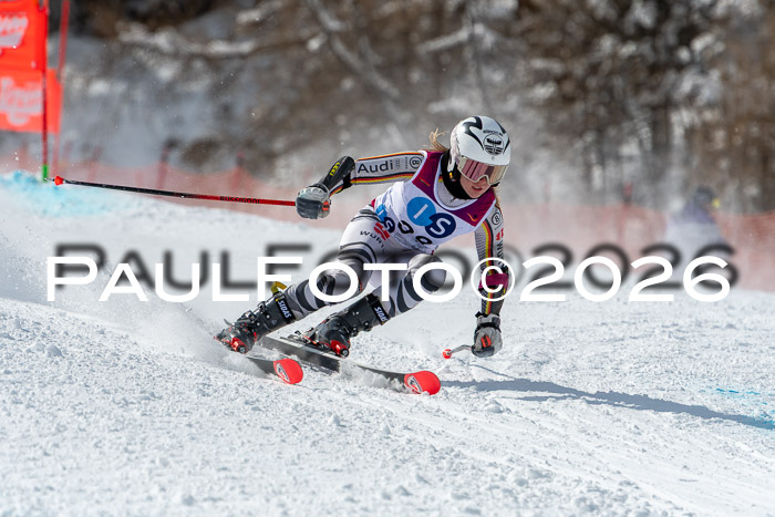 NC RS ,Frauen + Männer Axamer Lizum 28.03.2026