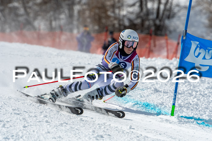 NC RS ,Frauen + Männer Axamer Lizum 28.03.2026