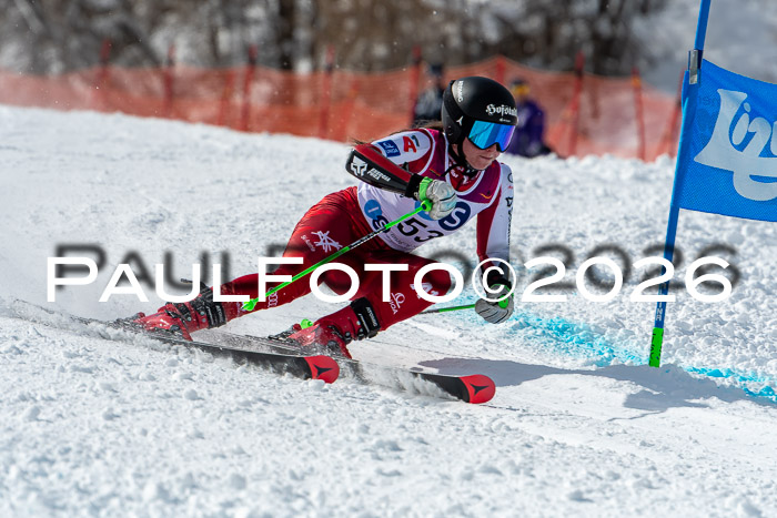 NC RS ,Frauen + Männer Axamer Lizum 28.03.2026