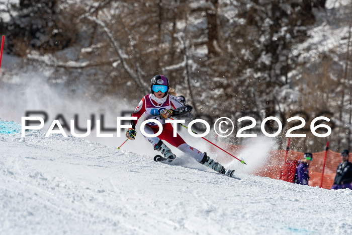 NC RS ,Frauen + Männer Axamer Lizum 28.03.2026