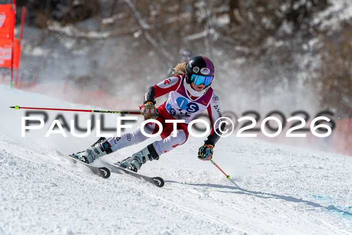 NC RS ,Frauen + Männer Axamer Lizum 28.03.2026