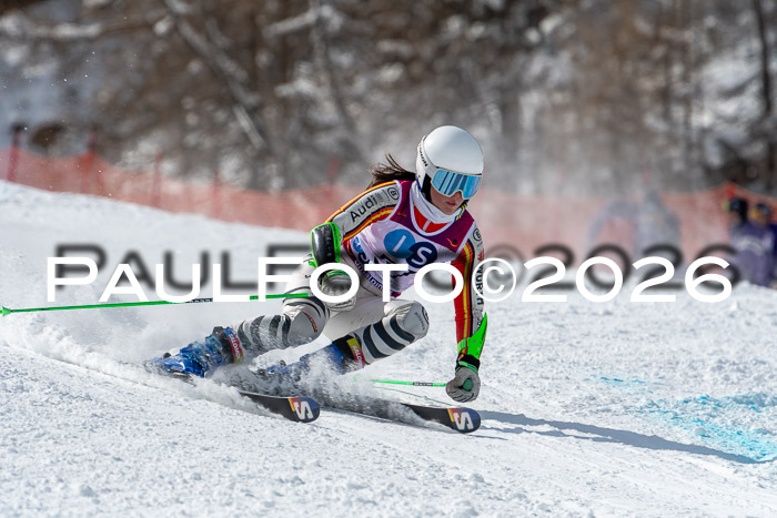 NC RS ,Frauen + Männer Axamer Lizum 28.03.2026