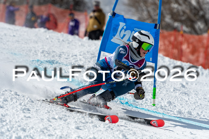 NC RS ,Frauen + Männer Axamer Lizum 28.03.2026