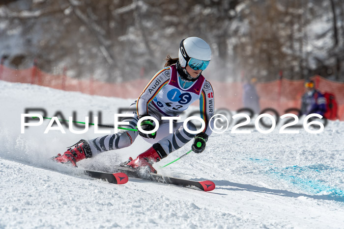 NC RS ,Frauen + Männer Axamer Lizum 28.03.2026