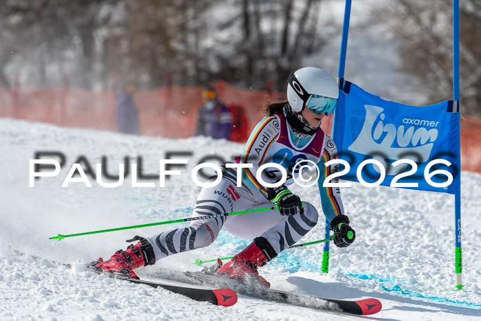 NC RS ,Frauen + Männer Axamer Lizum 28.03.2026