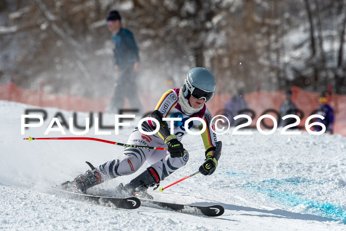 NC RS ,Frauen + Männer Axamer Lizum 28.03.2026