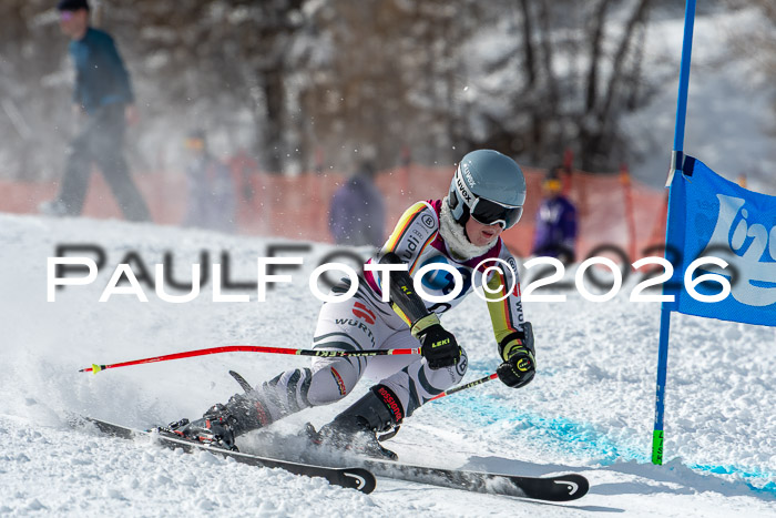 NC RS ,Frauen + Männer Axamer Lizum 28.03.2026