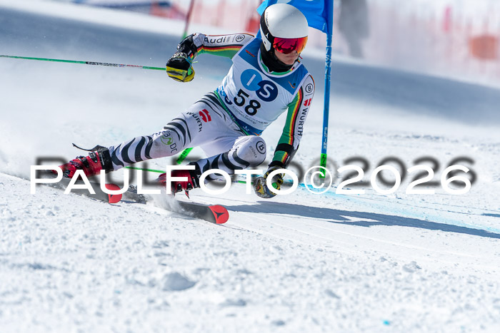 NC RS ,Frauen + Männer Axamer Lizum 28.03.2026