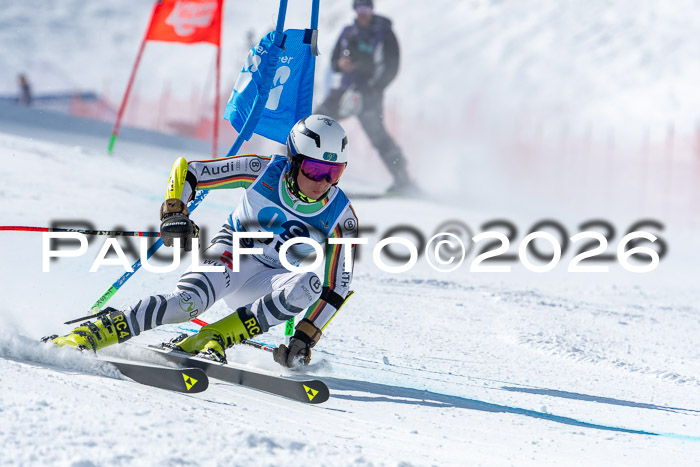 NC RS ,Frauen + Männer Axamer Lizum 28.03.2026