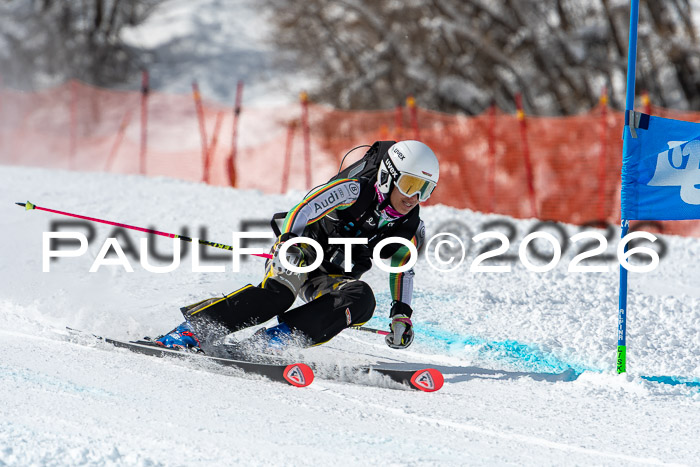 NC RS ,Frauen + Männer Axamer Lizum 28.03.2026