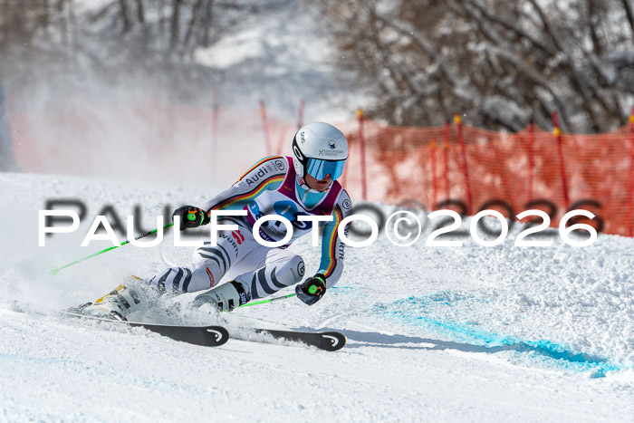 NC RS ,Frauen + Männer Axamer Lizum 28.03.2026