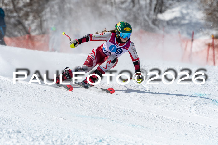 NC RS ,Frauen + Männer Axamer Lizum 28.03.2026