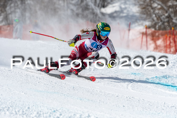 NC RS ,Frauen + Männer Axamer Lizum 28.03.2026